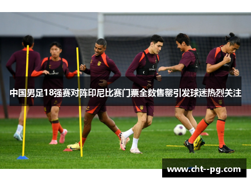 中国男足18强赛对阵印尼比赛门票全数售罄引发球迷热烈关注